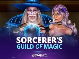 Sorcerer's Guild Of Magic icon