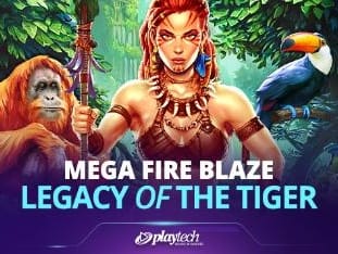 Mega Fire Blaze™_ Legacy Of The Tiger™ icon